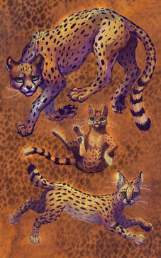 Spotted Felidae - digital painting - 2022